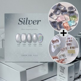 From the Nail Silver Magnetic Gel 5-piece set / 프롬더네일 실버 자석젤 5종 세트