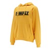DEWALT Men's Brand Carrier Pullover Hoodie (X-Large, Yellow)