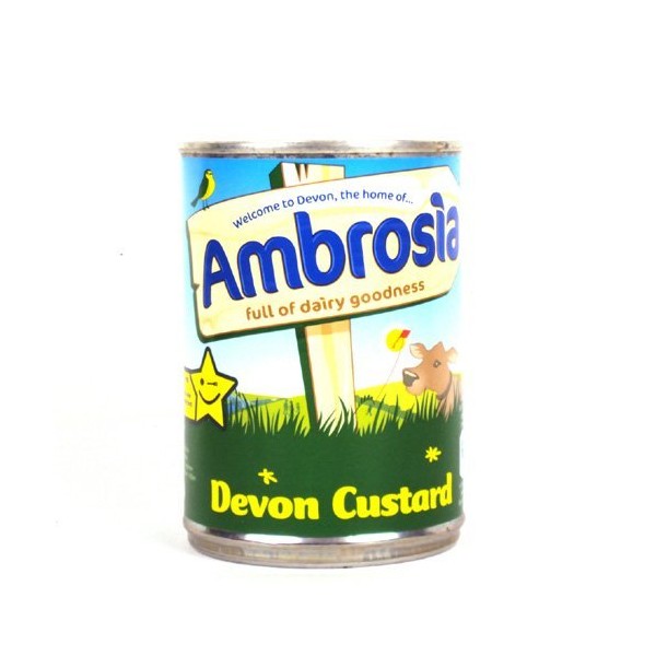 Ambrosia Devon Custard in 15oz Can