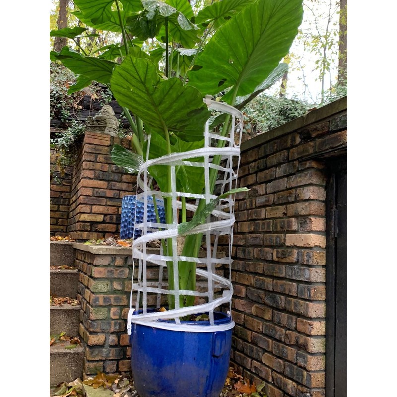 AutoPot Plant Trainer (2 Pack) with Scroggers (2 Pack) -