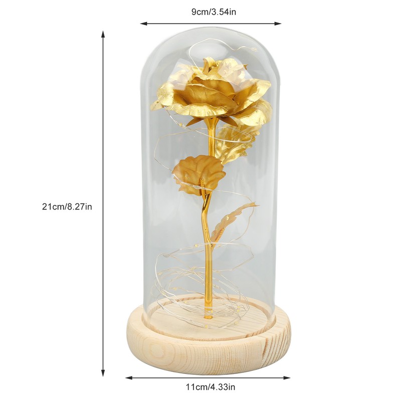 Rose in Glass Dome Lucky Beautiful Symbolism Romantic Enchanted Rose