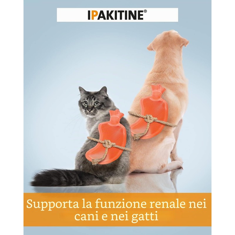 Vetoquinol Ipakitine | 60 g | Mangime complementare per cani