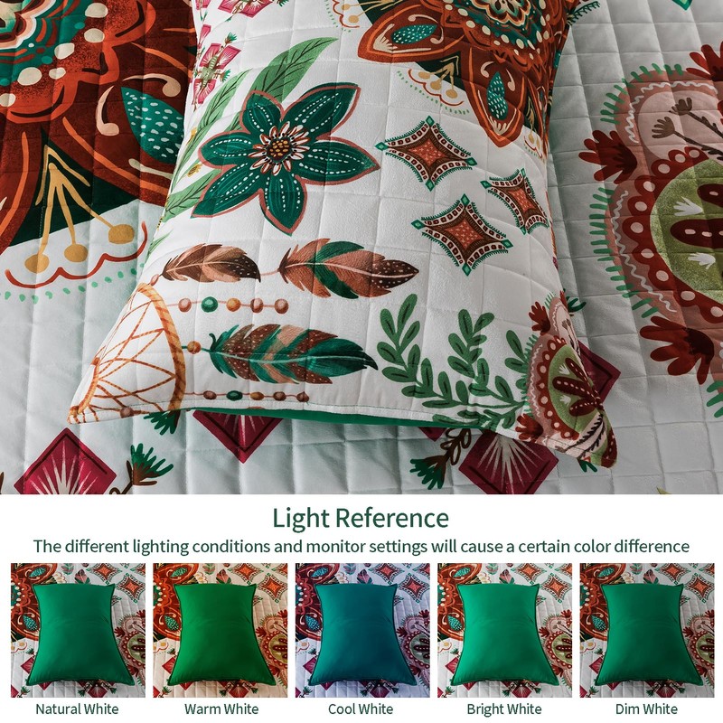 VAPUTAR Velvet Queen Quilt Bedding Set, 3 Pieces Floral Velvet