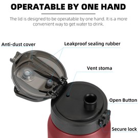 Fanhaw 24 Oz Insulated Stainless Steel Water Bottle with 1 Lid (Chug Lid) - For Kids, Women, Men | Leak & Sweat Proof with Anti-Dust Lid (Red Black)