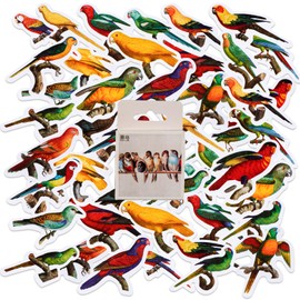 46PCS Colorful Parrot Stickers for Teens Boys Girls Kids, Mini Size Cartoon Birds Stickers,Cute Parrot Stickers for Laptop Flasks Water Bottle Bike Phone Notebook Scrapbook Car