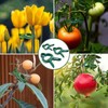 JCUGSBS 50 Small Plant Clips, Plant Clips for Climbing Plants,