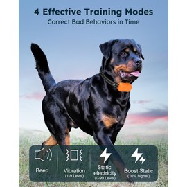 Jugbow Dog Shock Collar 2 Dogs (10-120Lbs) - 4200FT Dog Training Collars with Remote Control, IPX8 Waterproof Rechargeable E-Collars for Large Medium Small Dog