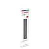 Bosch große Ersatz-Auflageschiene (für Fenstersauger GlassVAC, 2 Stück)