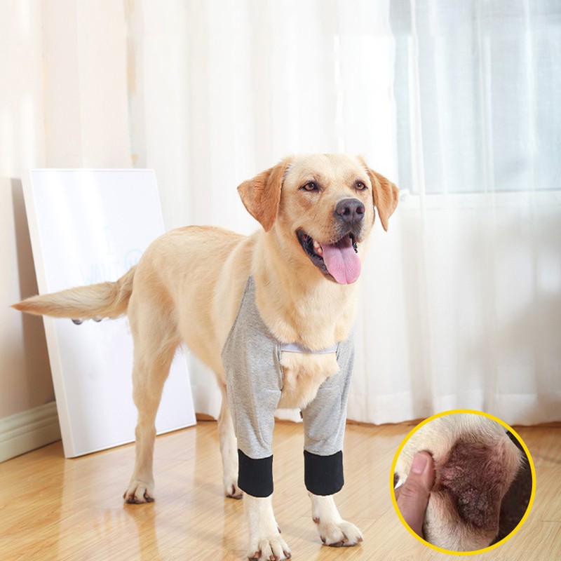 Dog Rcovery Sleeve Soft Breathable Stable Support Adjustable Comfortable Dog
