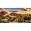 AWERT Reptile Habitat Background Blue Sky Oasis Cactus Sun and