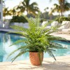 2 Pack Artificial Fern Plants in Pots, Type 8