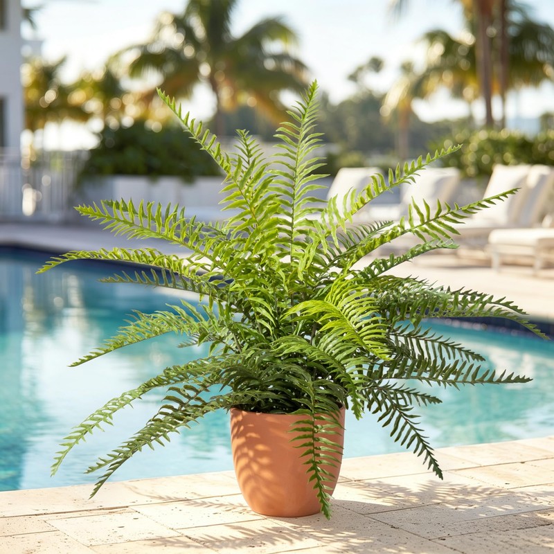 2 Pack Artificial Fern Plants in Pots, Type 8