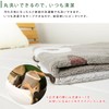 Rivere My Neighbor Totoro Large Totoro Nap Blanket Towel Blanket