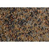 No-Till Cover Crop 13-Seed Mix: 50% Clovers Plus Fenugreek, Vetch,