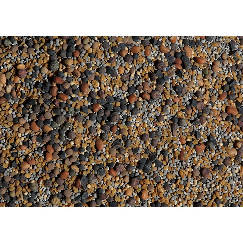 No-Till Cover Crop 13-Seed Mix: 50% Clovers Plus Fenugreek, Vetch,