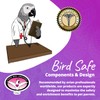 Super Bird Creations SB719 Beaker Sneaker Bird Toy for Parrotlets,