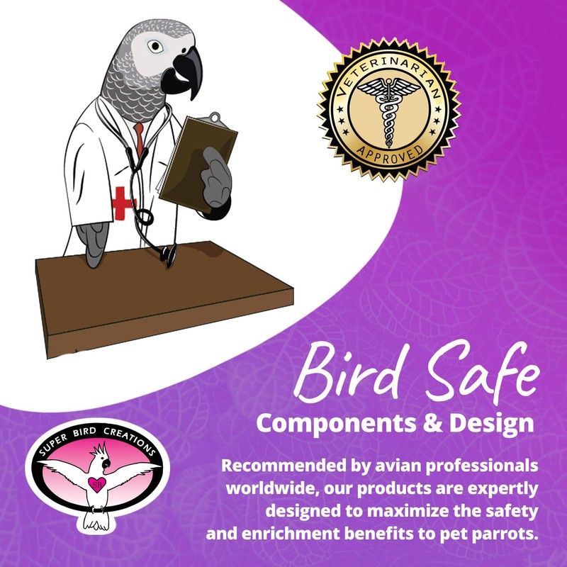 Super Bird Creations SB719 Beaker Sneaker Bird Toy for Parrotlets,