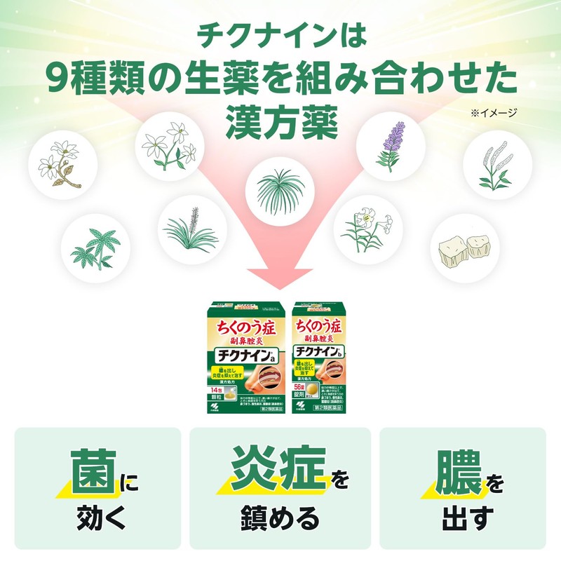 【第2類医薬品】チクナインb 112錠