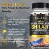 Shilajit Gummies, Pure Himalayan Shilajit Gummies with 100% Shilajit, Shilajit