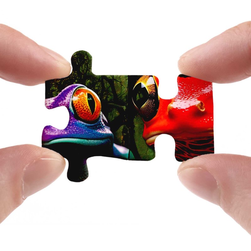 Colorful Frog Puzzle 1000 Piece for Adults, Rainbow Frogs Jigsaw