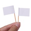 Senkary 100 Pack Blank Toothpick Flags Cheese Markers Small White