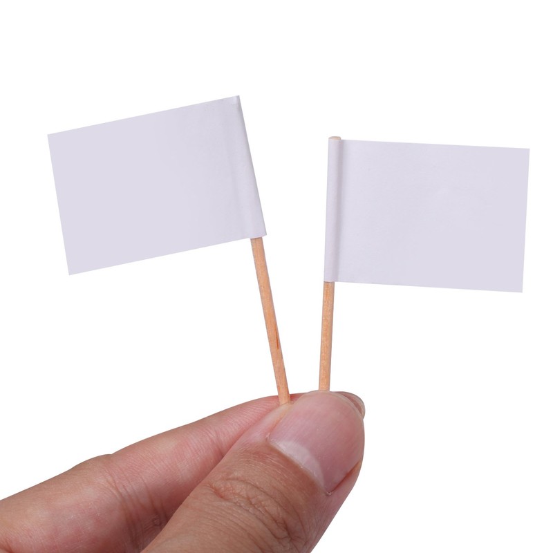 Senkary 100 Pack Blank Toothpick Flags Cheese Markers Small White