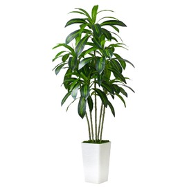 Artificial Dracaena Tree Artificial Silk Tree Faux Tree with White Tall Planter Fake Tropical Yucca Floor Plant (1, White Tall Planter, 5 FT)