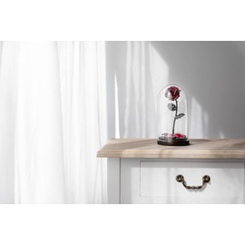 Forging Art Bcn Hand Forged Enchanted Rose in Beauty and the Beast Glass Dome (Red/Green)