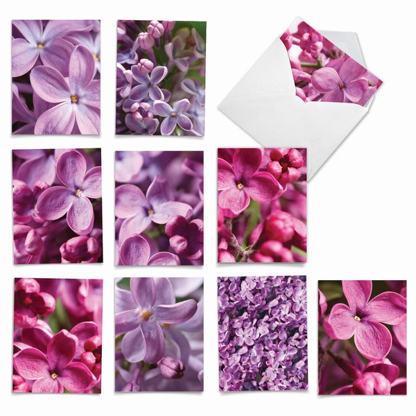 M6032 The Color Purple: 10 Assorted Blank All-Occasion Note Cards Featuring Close-Up Photos of Lovely Lilac Flowers, w/White Envelopes.
