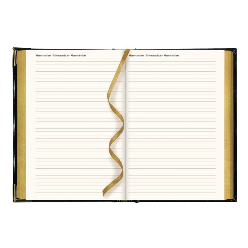 Brownline® 2026 Executive Daily Planner, Appointment Book, 12 Months, January