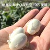 Vegetable Heart Osawa Organic Soybean Tea, 1.4 oz (40 g)