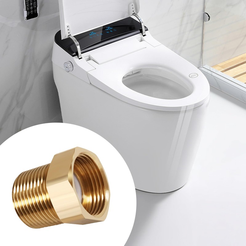Pack of 2 Brass Check Valves 1 Inch, 1 Inch