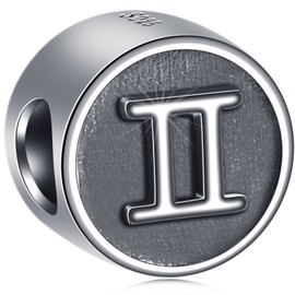 GLOWDAS - Abalorio con signo del zodiaco para pulsera de cumpleaños europea, plata de ley 925 envejecida, 12 abalorio de constelación, regalos para familia/amante/amigos, Plata esterlina, No es una