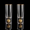 DUJUST Crystal Shot Glasses (2oz), Shot Glass Set Decorated with