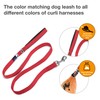 Curli Basic Nylon Dog Leash, 140 x 2 cm, Red