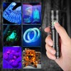 UniqueFire 1702 365nm UV Black Light Flashlight, High Power USB-C