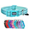 Petiry Reflective Nylon Dog Collar with Breathable Neoprene Padding,Adjustable for