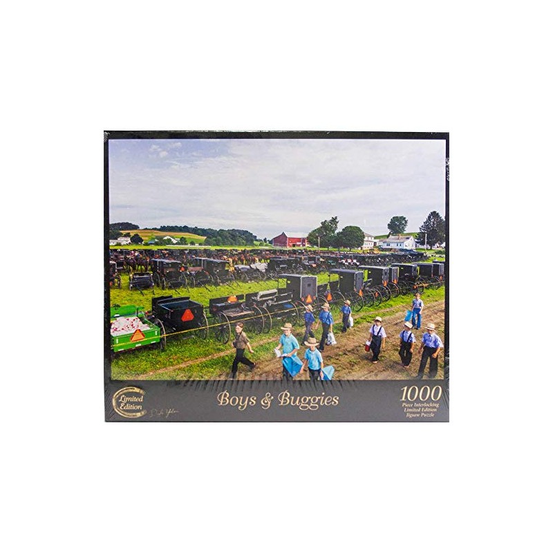 Doyle Yoder Boys & Buggies Amish Scene Jigsaw Puzzle 20