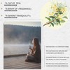 Dried Honeysuckle Tea (160g/5.6oz) | Sealed Jar | Easy to