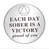 Sobriety Coin Sobriety Chips AA Chip AA Coins ONE Day
