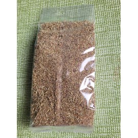 Wormwood organic and natural 50 g, Artemisia absinthium, mugwort fine, Sheeih, grown in Morocco