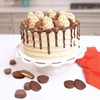 Palksky Chocolate Almond Peanut Butter Cup Mold - (3PCS) 9