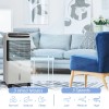 3 in 1 Energy-Saving Gray Air Cooler Mobile Evaporative Fan