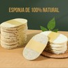 5 Esponja Vegetal Exfoliante Lufa 100% Natural Limpieza Corporal Elimina