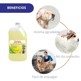 Shampoo para Perro Hipoalergenico Antibacterial 4 litros - Producto Original de Alta Calidad, Entrega Rápida y Segura, Garantía Incluida              