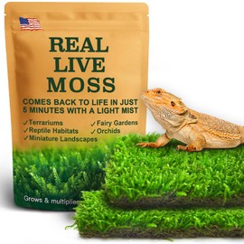 LUCKY PLANT Live Moss for Reptiles - Terrarium Moss for Reptiles Peat Moss for Reptiles Habitat Bedding Moss for Snakes Turtle Frog Gecko and Other Reptiles Substrate 50 Square inches Live Moss