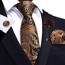 Gusleson Mens Black Gold Tie for Party Wedding Paisley Necktie Pocket Square Cufflinks and Lapel Pin Brooch Set (UK6111-16)