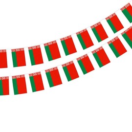 Belarus Flag 40pcs Belarus Flag Belarus Garland 11.4M Belarus Bunting Belarus National Flag 5.5 x 8.3 Inch for Bar Decorations