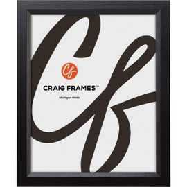 Craig Frames Economy, 25x31 Picture Frame, Ebony Black