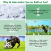 Dog Toys Soccer Ball with Interactive Pulling Tabs, Dog Toys